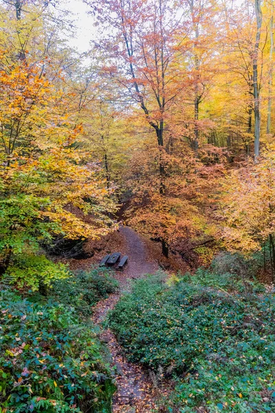 Jesienny Spacer Mieście Wartburg Eisenach Skraju Lasu Turyngii Turyngia — Zdjęcie stockowe