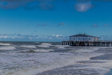 Ustronie Morskie kıyısı boyunca Polonya Baltık Denizi 'nde güzel bir sonbahar yürüyüşü - Polonya