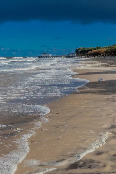 Mooie Herfstwandeling Aan Poolse Oostzee Langs Kust Van Ustronie Morskie — Stockfoto