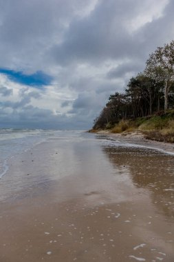 Englisch (İngiltere) GlossarGüzel sonbahar yürüyüşü Polonya Baltık Denizi 'nde Ustronie Morskie - Polonya kıyıları boyunca