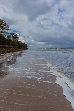Englisch (İngiltere) GlossarGüzel sonbahar yürüyüşü Polonya Baltık Denizi 'nde Ustronie Morskie - Polonya kıyıları boyunca
