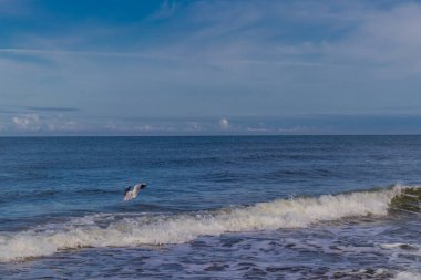 Polonya Baltık Denizi 'nde güzel bir sahil yürüyüşü Mielno - Polonya kapılarında