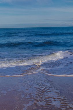 Polonya Baltık Denizi 'nde güzel bir sahil yürüyüşü Mielno - Polonya kapılarında