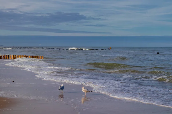 Mooie Strandwandeling Aan Poolse Oostzee Aan Poorten Van Mielno Polen — Stockfoto