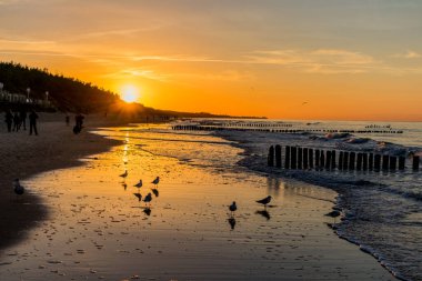 Mielno, Polonya 'daki sahil boyunca akşam yürüyüşü.
