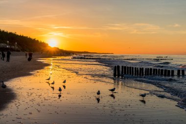 Mielno, Polonya 'daki sahil boyunca akşam yürüyüşü.
