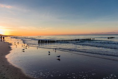 Mielno, Polonya 'daki sahil boyunca akşam yürüyüşü.