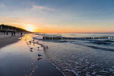 Mielno, Polonya 'daki sahil boyunca akşam yürüyüşü.