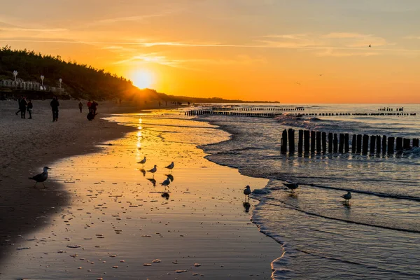 Mielno, Polonya 'daki sahil boyunca akşam yürüyüşü.