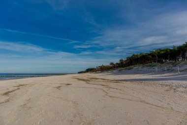Polonya, Dzwirzyno 'daki sahil boyunca kısa bir yürüyüş.