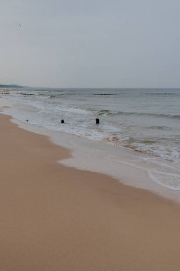 Polonya Baltık Denizi 'nde Mielno' dan Polonya 'ya Sahil Yürüyüşü