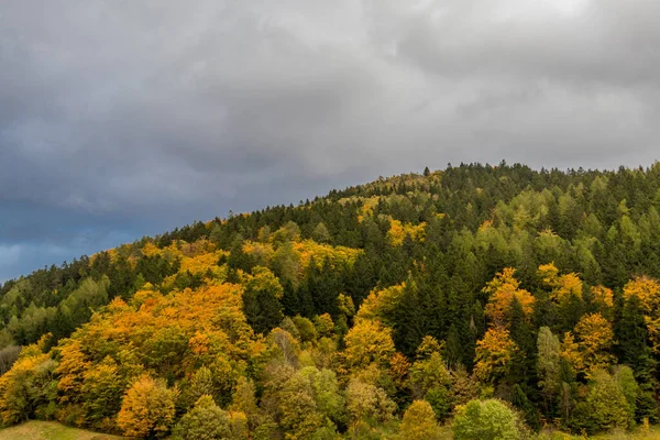 Recorrido Descubrimiento Otoño Por Bosque Turingia Cerca Steinbach Hallenberg Turingia — Foto de Stock