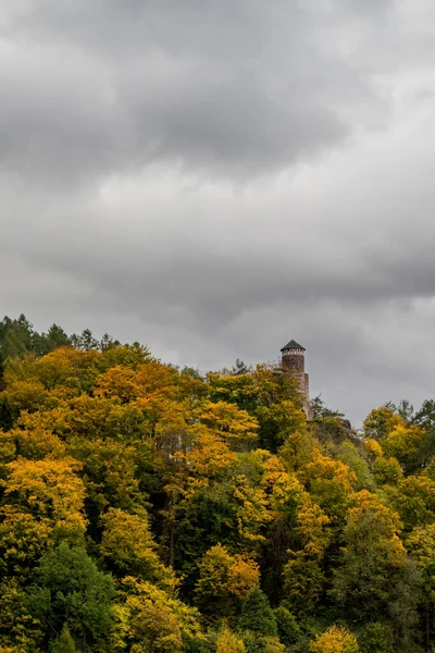 Осенний Тур Тюрингскому Лесу Недалеко Штайнбах Халленберг Тюрингия — стоковое фото