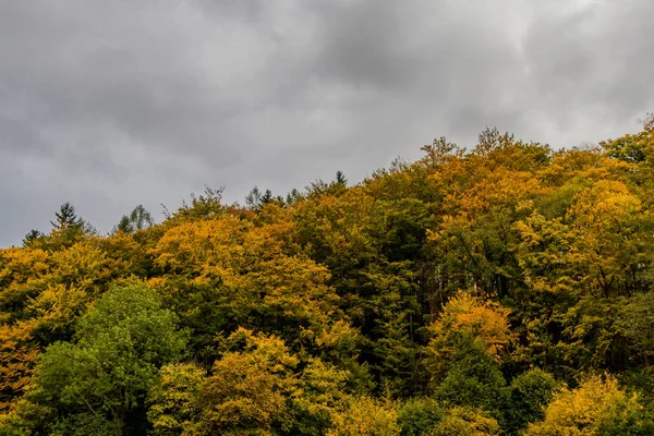 Recorrido Descubrimiento Otoño Por Bosque Turingia Cerca Steinbach Hallenberg Turingia — Foto de Stock