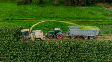Werra Vadisi 'nde yaz sonu mısır hasadı - Thüringen - Almanya