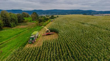Werra Vadisi 'nde yaz sonu mısır hasadı - Thüringen - Almanya