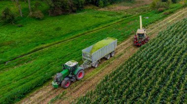 Werra Vadisi 'nde yaz sonu mısır hasadı - Thüringen - Almanya