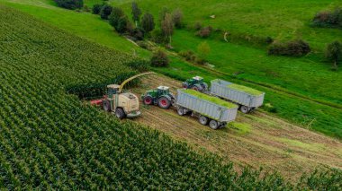 Werra Vadisi 'nde yaz sonu mısır hasadı - Thüringen - Almanya
