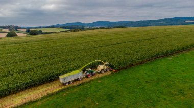 Werra Vadisi 'nde yaz sonu mısır hasadı - Thüringen - Almanya