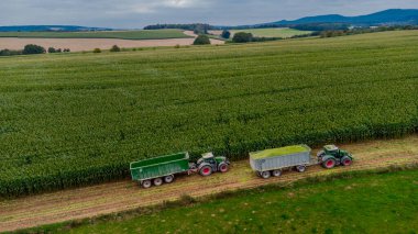 Werra Vadisi 'nde yaz sonu mısır hasadı - Thüringen - Almanya