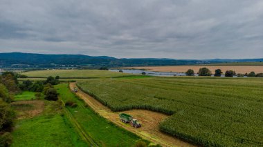 Werra Vadisi 'nde yaz sonu mısır hasadı - Thüringen - Almanya