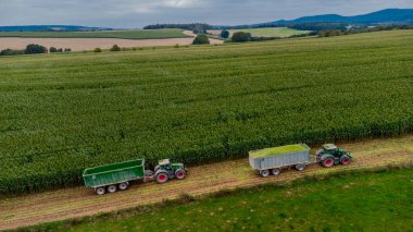 Werra Vadisi 'nde yaz sonu mısır hasadı - Thüringen - Almanya
