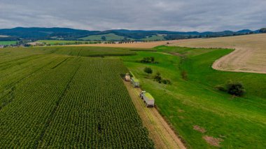 Werra Vadisi 'nde yaz sonu mısır hasadı - Thüringen - Almanya