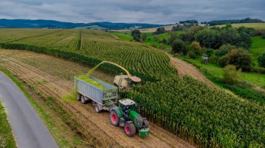 Werra Vadisi 'nde yaz sonu mısır hasadı - Thüringen - Almanya