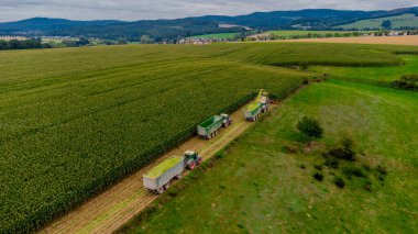 Werra Vadisi 'nde yaz sonu mısır hasadı - Thüringen - Almanya