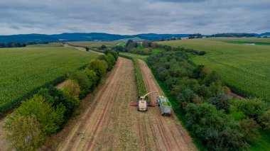 Werra Vadisi 'nde yaz sonu mısır hasadı - Thüringen - Almanya