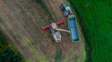 Werra Vadisi 'nde yaz sonu mısır hasadı - Thüringen - Almanya