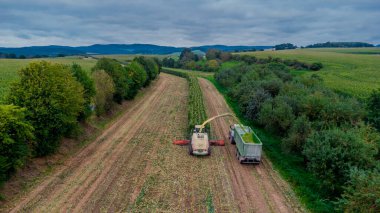 Werra Vadisi 'nde yaz sonu mısır hasadı - Thüringen - Almanya