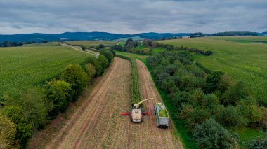 Werra Vadisi 'nde yaz sonu mısır hasadı - Thüringen - Almanya