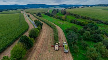 Werra Vadisi 'nde yaz sonu mısır hasadı - Thüringen - Almanya