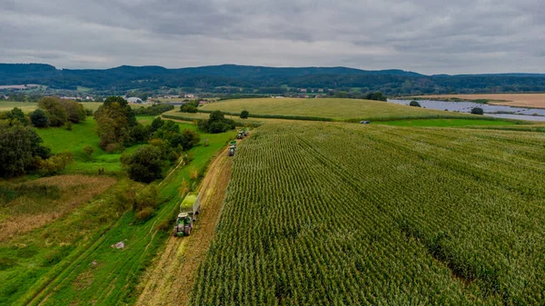 Werra Vadisi 'nde yaz sonu mısır hasadı - Thüringen - Almanya