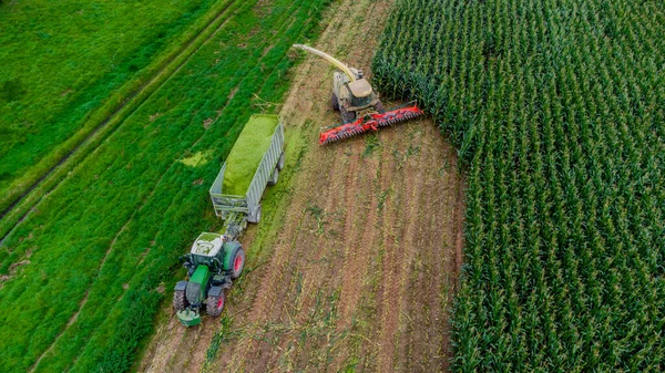 Пізній Літній Врожай Кукурудзи Долині Верра Тюрингії Німеччина — стокове фото