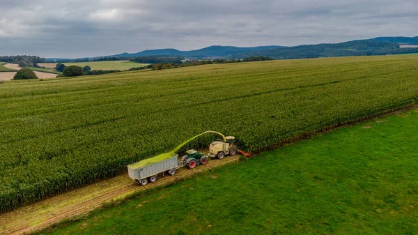 Werra Vadisi 'nde yaz sonu mısır hasadı - Thüringen - Almanya