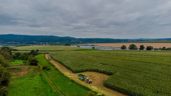 Werra Vadisi 'nde yaz sonu mısır hasadı - Thüringen - Almanya