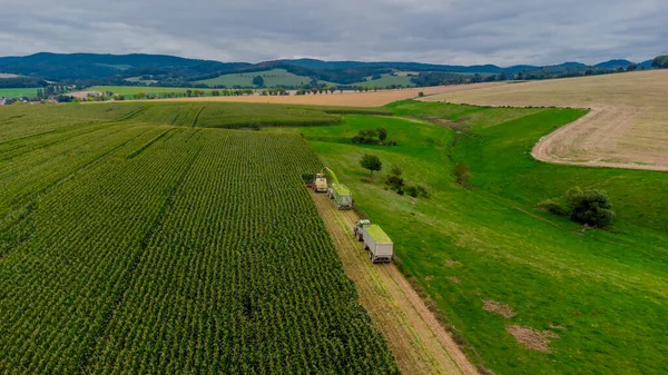 Werra Vadisi 'nde yaz sonu mısır hasadı - Thüringen - Almanya