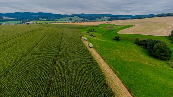 Werra Vadisi 'nde yaz sonu mısır hasadı - Thüringen - Almanya