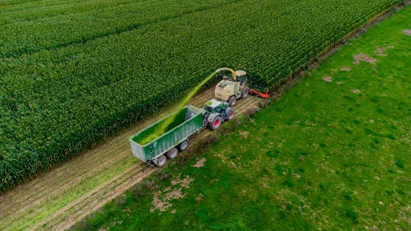 Werra Vadisi 'nde yaz sonu mısır hasadı - Thüringen - Almanya