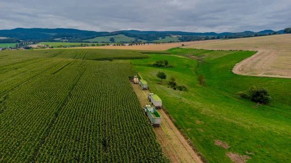 Werra Vadisi 'nde yaz sonu mısır hasadı - Thüringen - Almanya