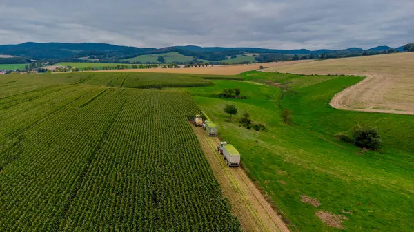 Werra Vadisi 'nde yaz sonu mısır hasadı - Thüringen - Almanya