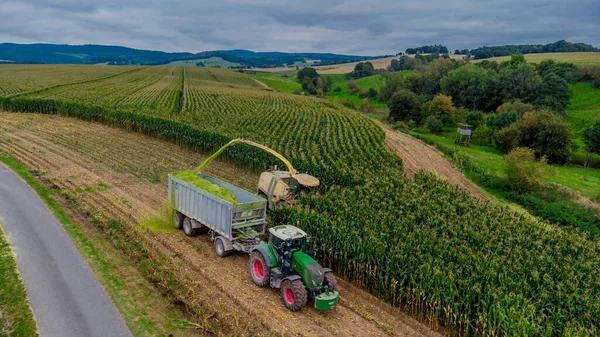 Récolte Tardive Maïs Été Dans Vallée Werra Thuringe Allemagne — Photo