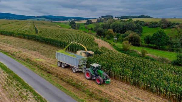 Récolte Tardive Maïs Été Dans Vallée Werra Thuringe Allemagne — Photo