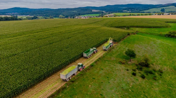Werra Vadisi 'nde yaz sonu mısır hasadı - Thüringen - Almanya
