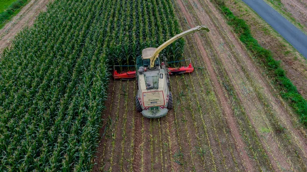 Werra Vadisi 'nde yaz sonu mısır hasadı - Thüringen - Almanya