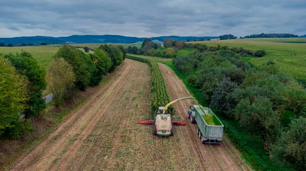 Werra Vadisi 'nde yaz sonu mısır hasadı - Thüringen - Almanya
