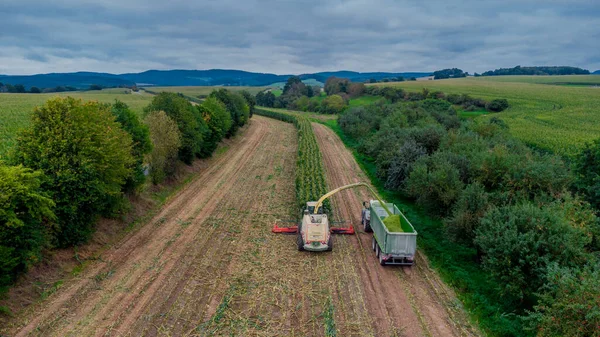 Werra Vadisi 'nde yaz sonu mısır hasadı - Thüringen - Almanya