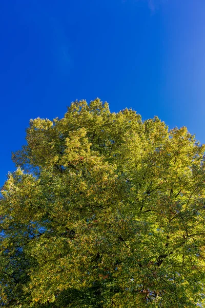 Late Zomer Ontdekkingstocht Door Het Prachtige Grabfeld Aan Poorten Van — Stockfoto